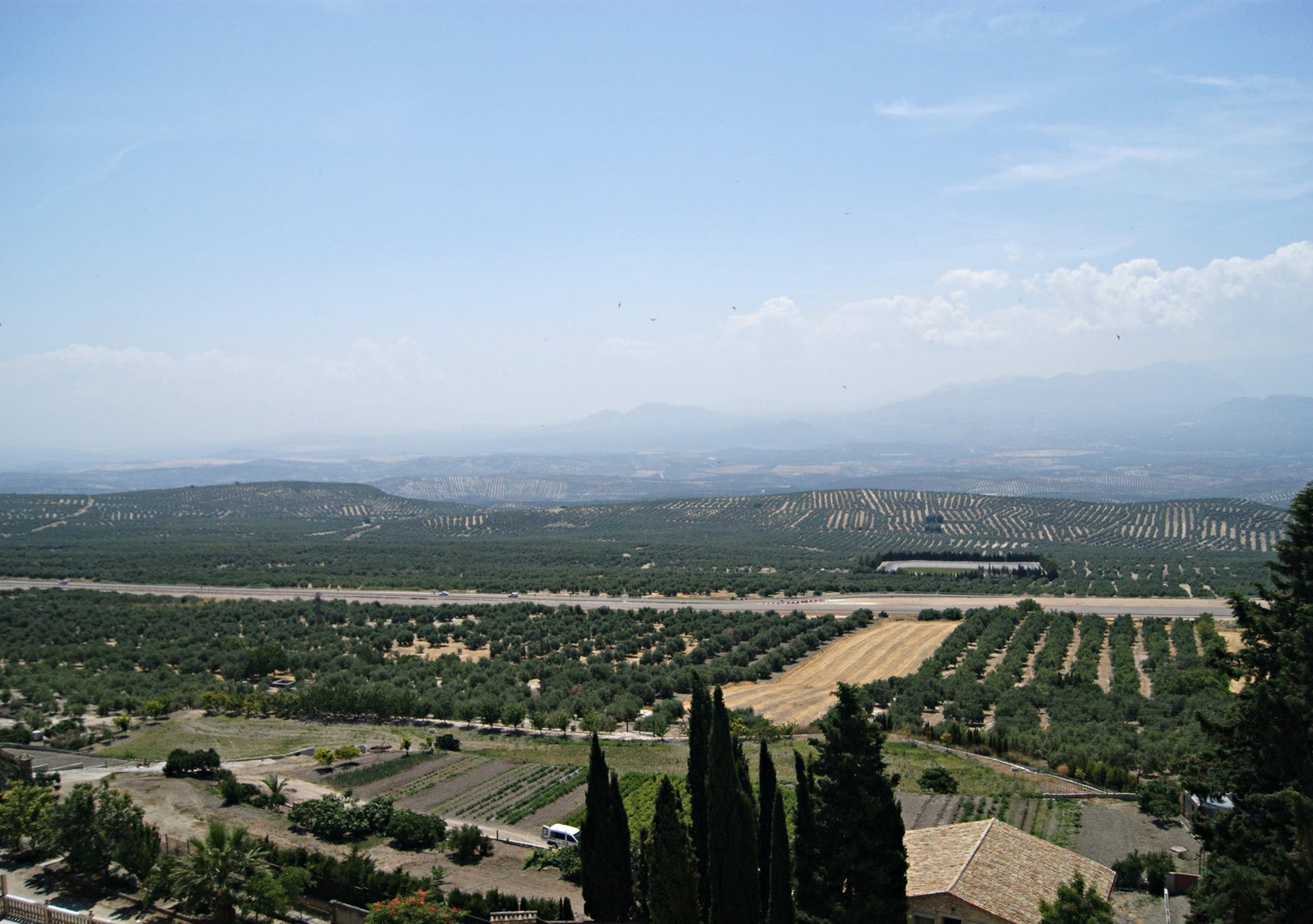 excursión excursiones a Úbeda y Baeza en 1 día desde Granada